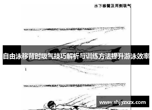 自由泳移背时吸气技巧解析与训练方法提升游泳效率